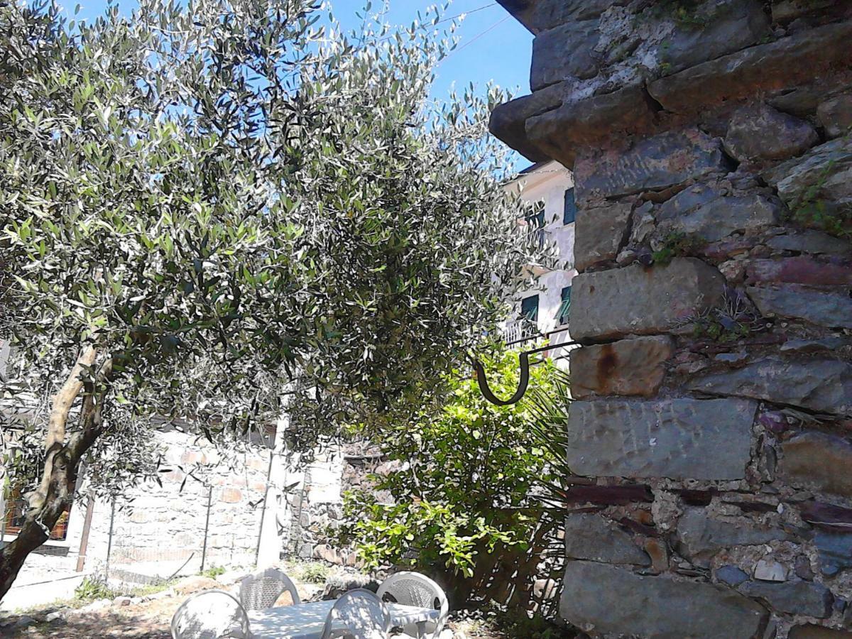 Mare, Monti E...Cinque Terre Lejlighed La Spezia Eksteriør billede